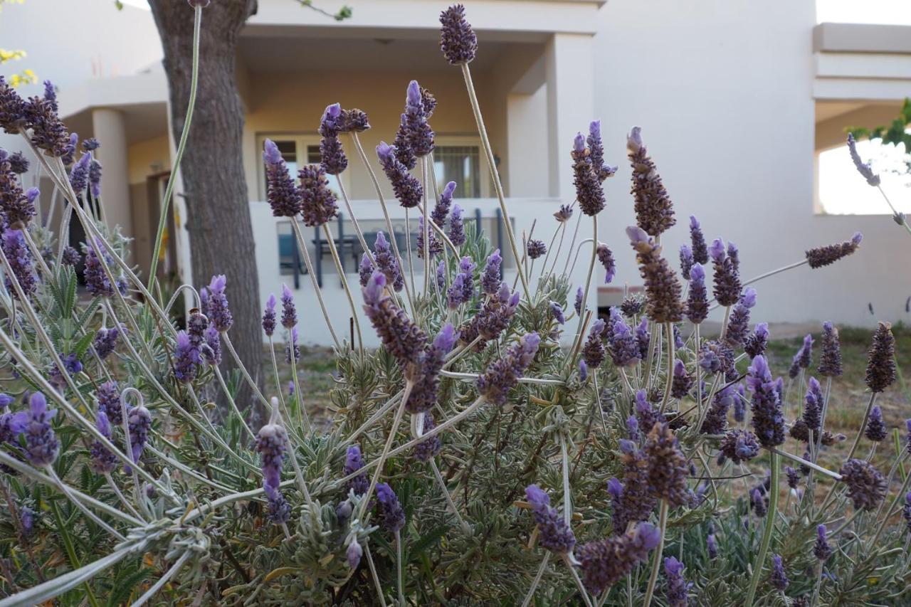 Вілла Olive House Малія Екстер'єр фото